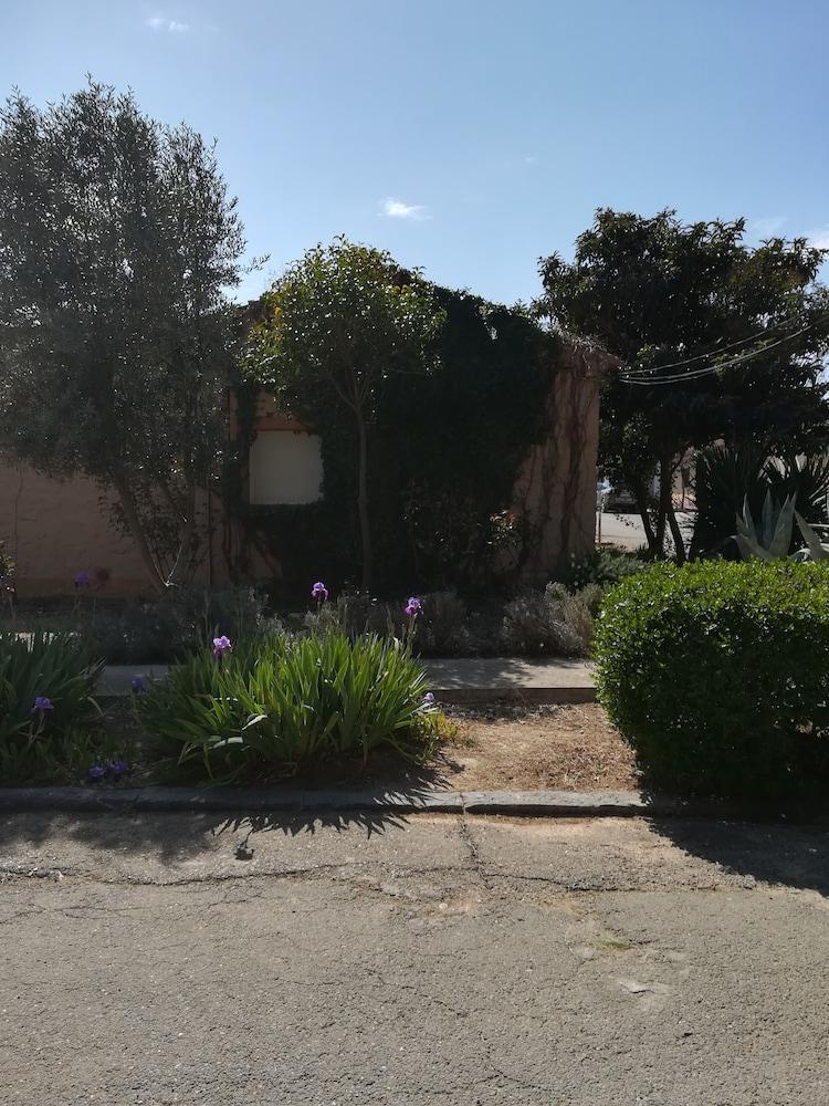 Pinos