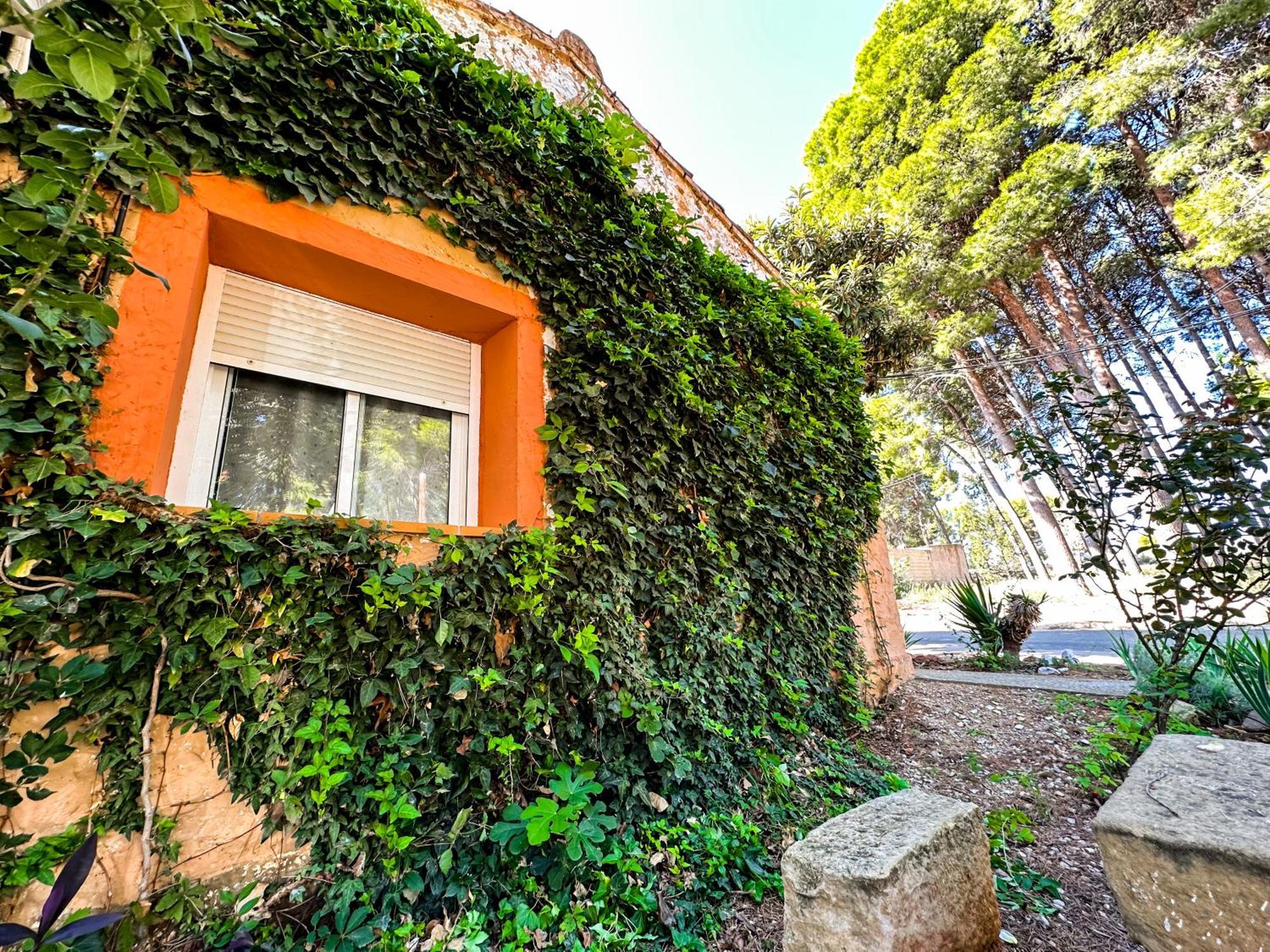Casa rural Pinos Valmuel